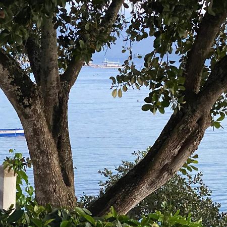 Pescador View - Beachfront & Nearby The Ocean Hostels & Restaurant Moalboal Esterno foto