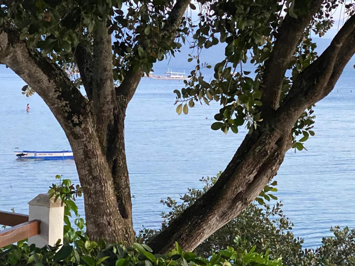 Pescador View - Beachfront & Nearby The Ocean Hostels & Restaurant Moalboal Esterno foto
