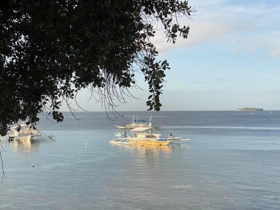 Pescador View - Beachfront & Nearby The Ocean Hostels & Restaurant Moalboal Esterno foto