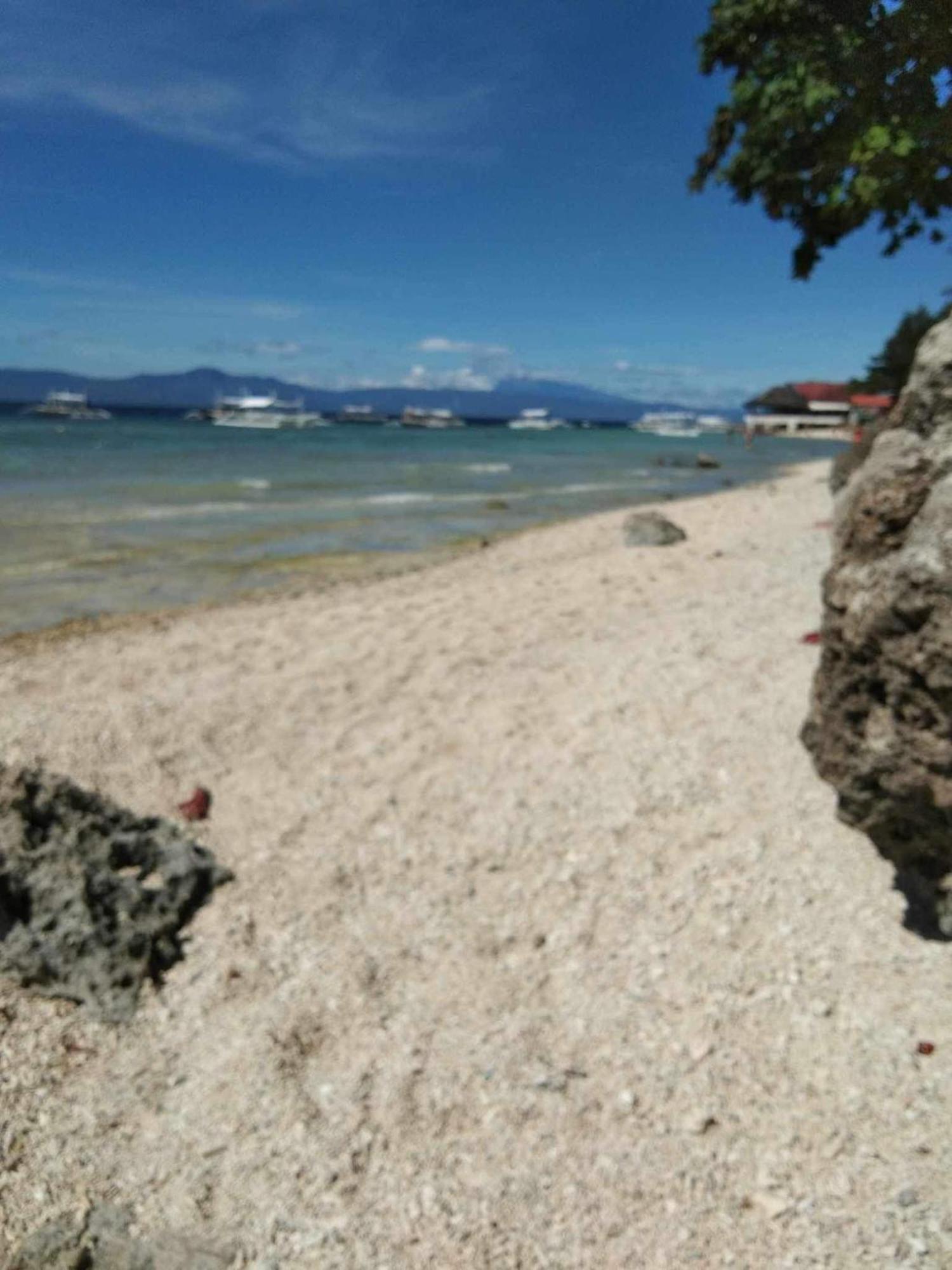 Pescador View - Beachfront & Nearby The Ocean Hostels & Restaurant Moalboal Esterno foto