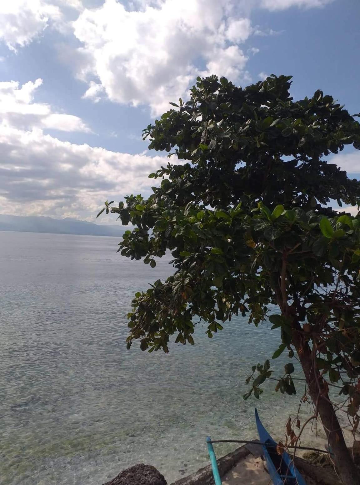 Pescador View - Beachfront & Nearby The Ocean Hostels & Restaurant Moalboal Camera foto