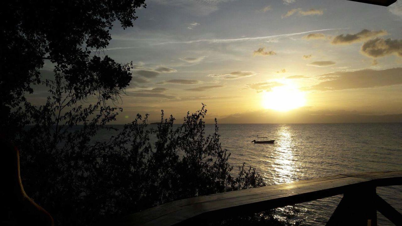 Pescador View - Beachfront & Nearby The Ocean Hostels & Restaurant Moalboal Esterno foto